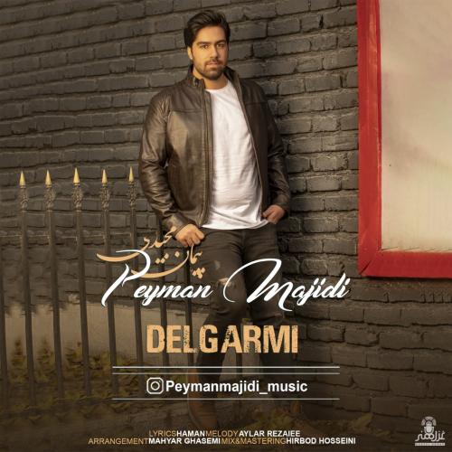 پیمان مجیدی دلگرمی